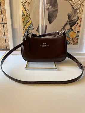 COACH Mini Teri Crossbody Bag